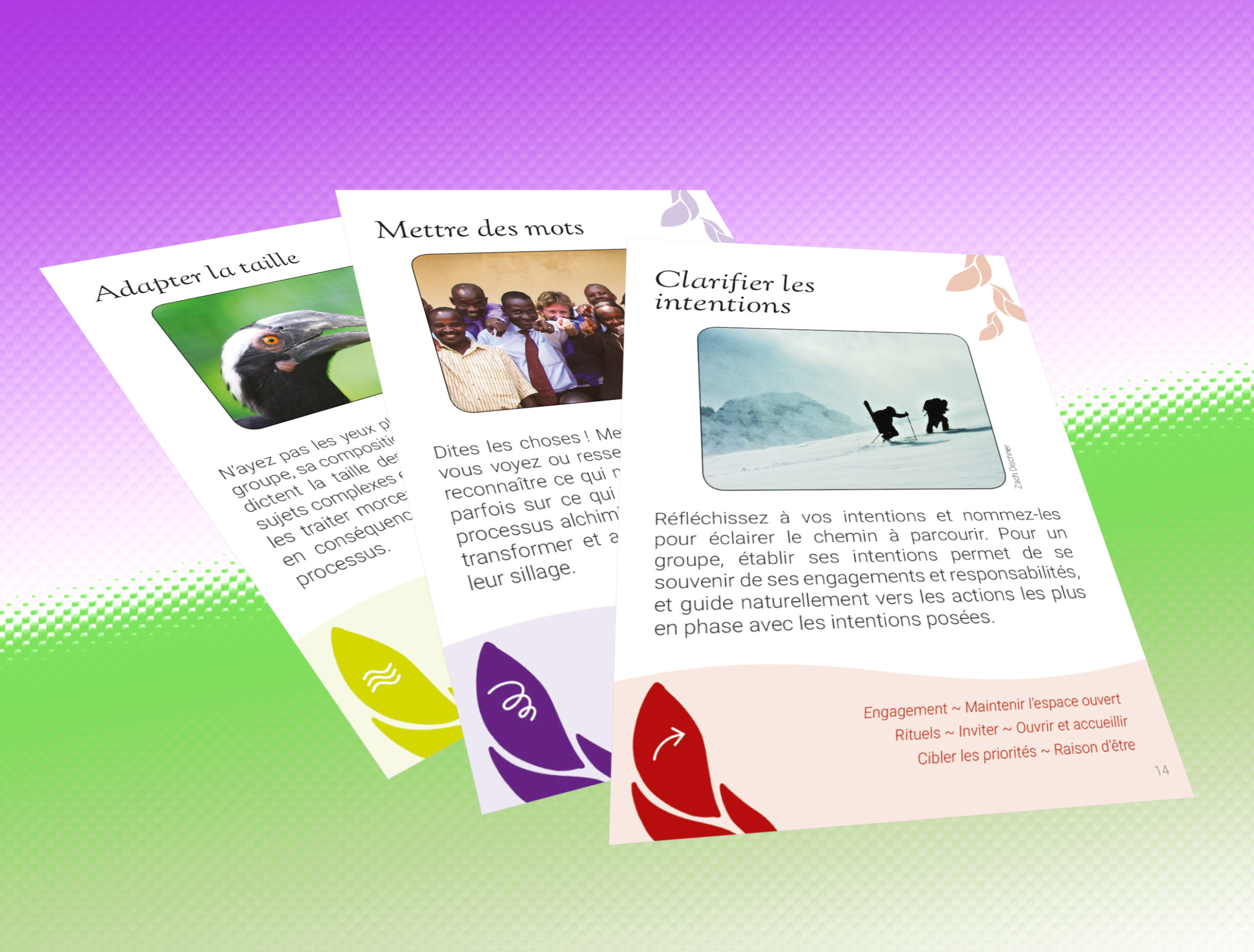 3 clés des dynamiques de groupe, outil d'animation de groupe : adapter la taille, mettre des mots, clarifier les intentions