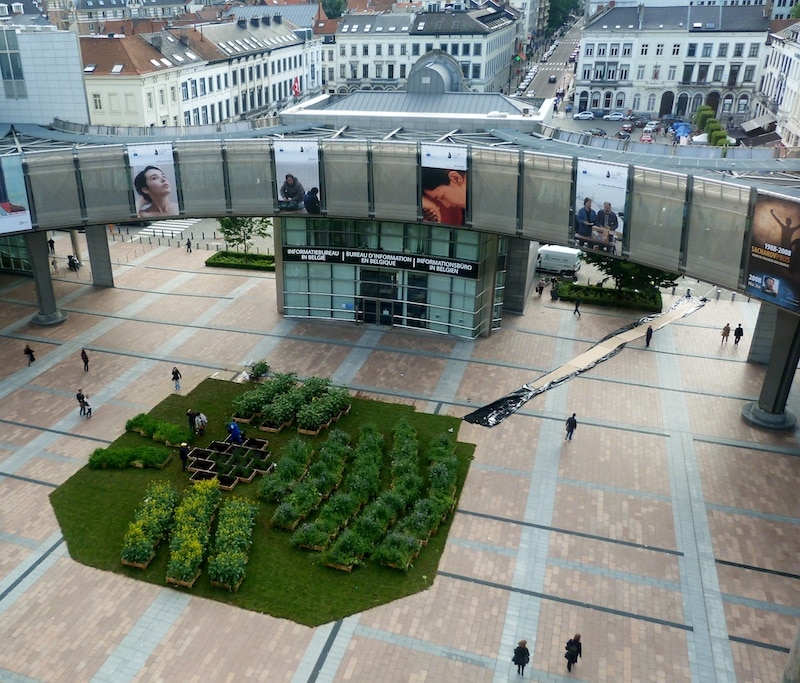 Bees Lobbying Thousands of bee-friendly plants exhibited in the plaza outside the European Parliament, with stalls and information booths.
