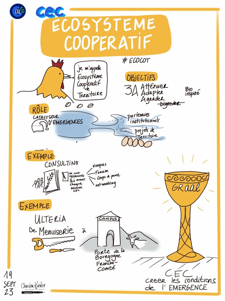 L'écosystème coopératif de terrtoire : le graal de la CEC !
sketchnote