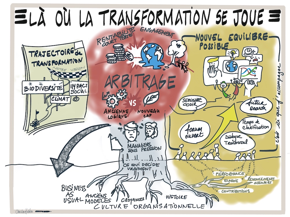 Transformation culturelle et trajectoire stratégique : pourquoi le cap ne suffit pas